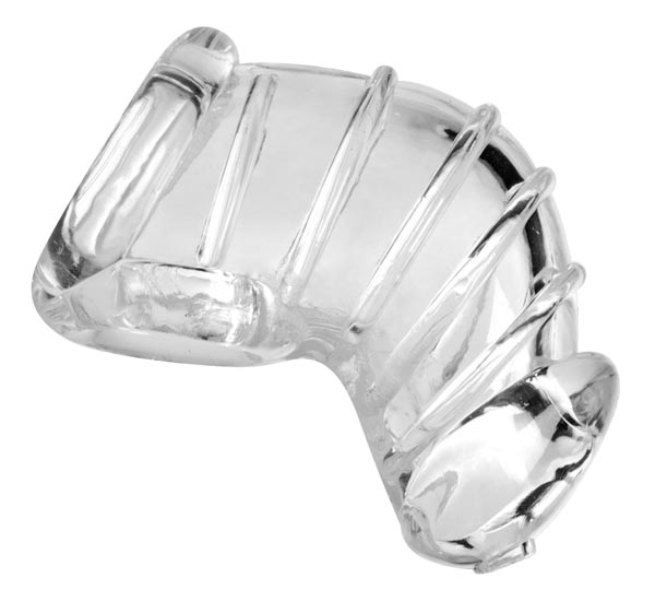 XR Master Series Detained Soft Body Chastity Cage, a sleek metal device designed for secure body chastity.